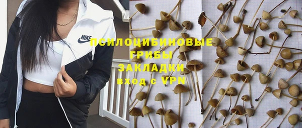 гидропоника Зеленокумск